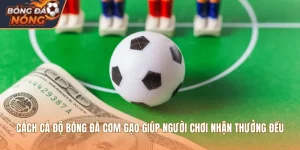 Cách Cá Độ Bóng Đá Cơm Gạo Giúp Người Chơi Nhận Thưởng Đều