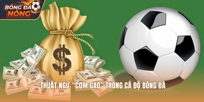 Thuật ngữ “cơm gạo” trong cá độ bóng đá