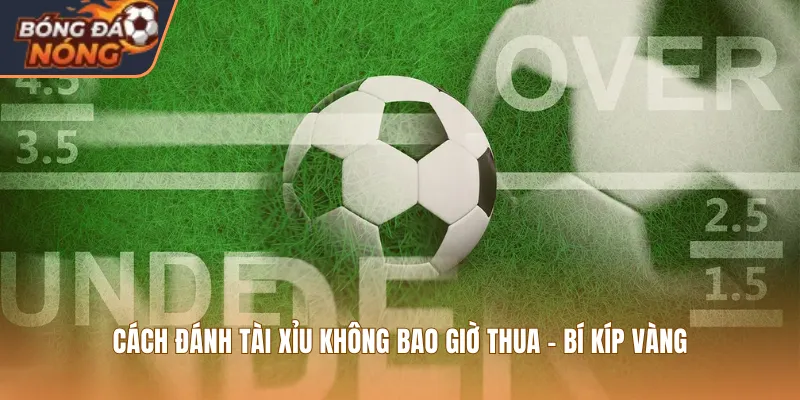 Cách Đánh Tài Xỉu Không Bao Giờ Thua - Bí Kíp Vàng