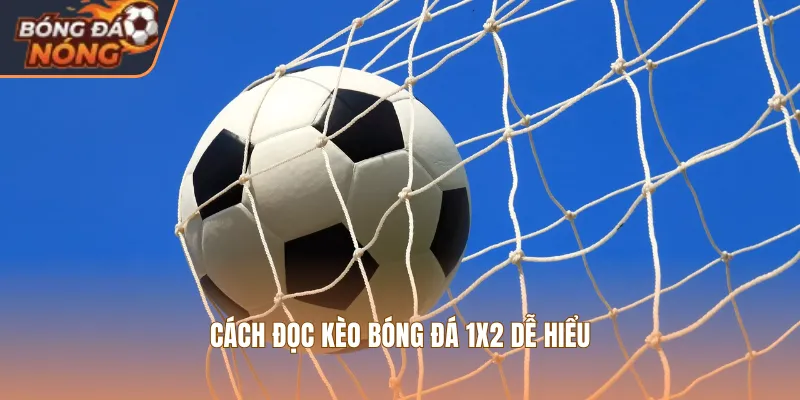 Cách đọc kèo bóng đá 1X2 dễ hiểu