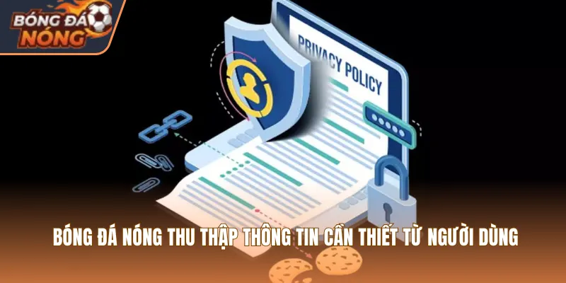 Bóng Đá Nóng thu thập thông tin cần thiết từ người dùng