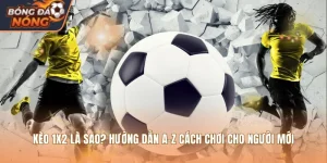 Kèo 1X2 Là Sao? Hướng Dẫn A-Z Cách Chơi Cho Người Mới