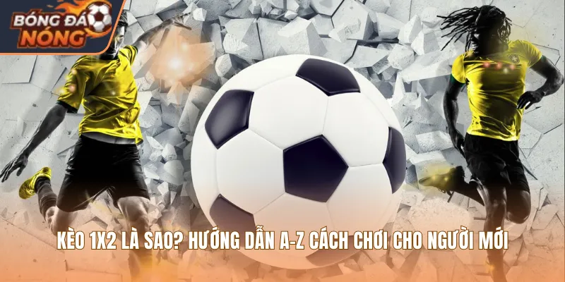 Kèo 1X2 Là Sao? Hướng Dẫn A-Z Cách Chơi Cho Người Mới