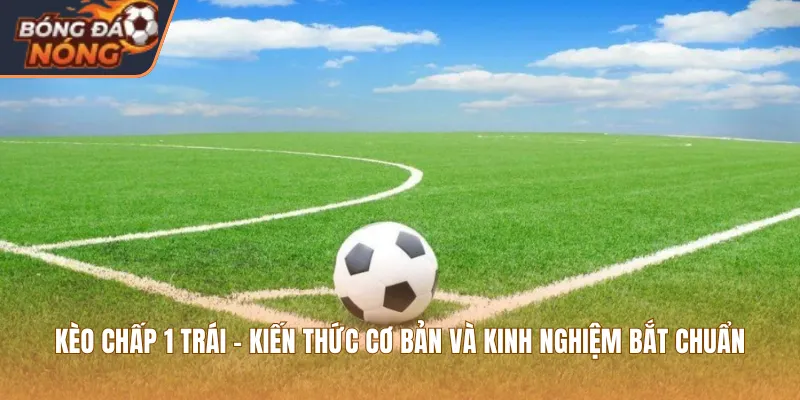 Kèo Chấp 1 Trái - Kiến Thức Cơ Bản Và Kinh Nghiệm Bắt Chuẩn