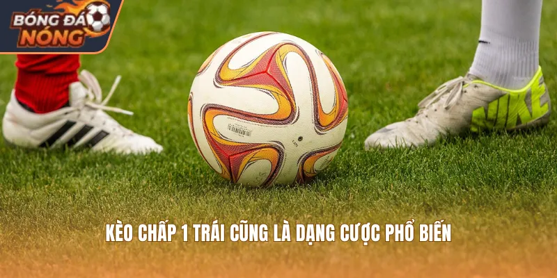 Kèo chấp 1 trái cũng là dạng cược phổ biến