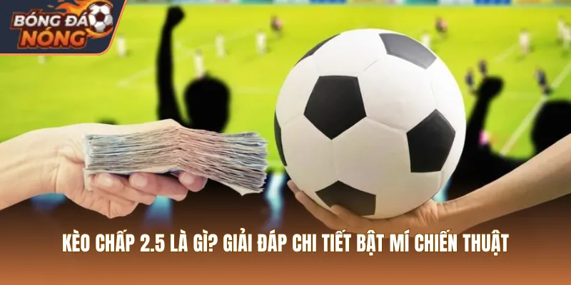 Kèo Chấp 2.5 Là Gì? Giải Đáp Chi Tiết Bật Mí Chiến Thuật