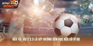 Kèo Tài Xỉu 2 2.5 Là Gì? Hướng Dẫn Đọc Kèo Có Ví Dụ