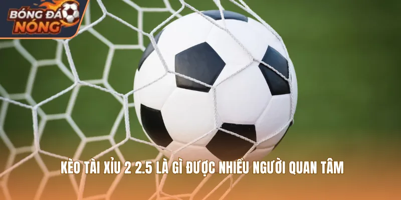 Kèo tài xỉu 2 2.5 là gì được nhiều người quan tâm