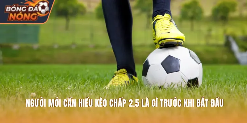 Người mới cần hiểu kèo chấp 2.5 là gì trước khi bắt đầu