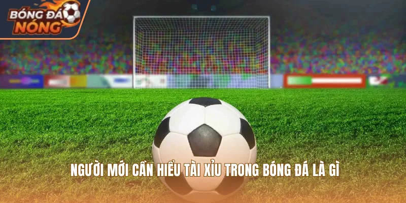 Người mới cần hiểu tài xỉu trong bóng đá là gì