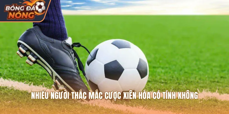 Nhiều người thắc mắc cược xiên hòa có tính không