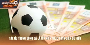 Tài Xỉu Trong Bóng Đá Là Gì? Kiến Thức Toàn Diện Dễ Hiểu